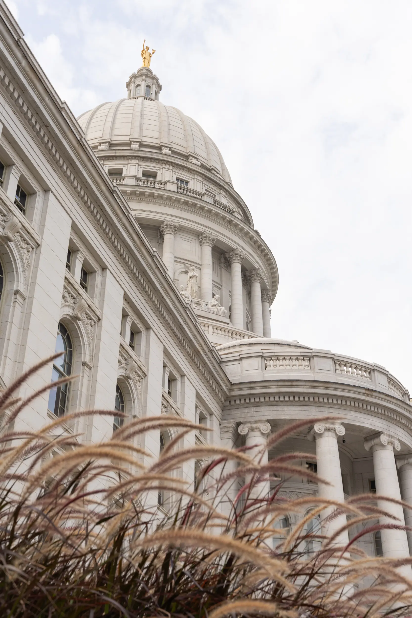 Martha and Tina Wedding - Madison, WI