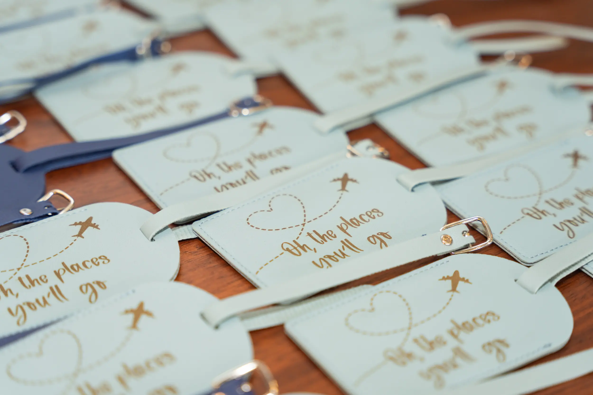 Martha and Tina Wedding - Madison, WI