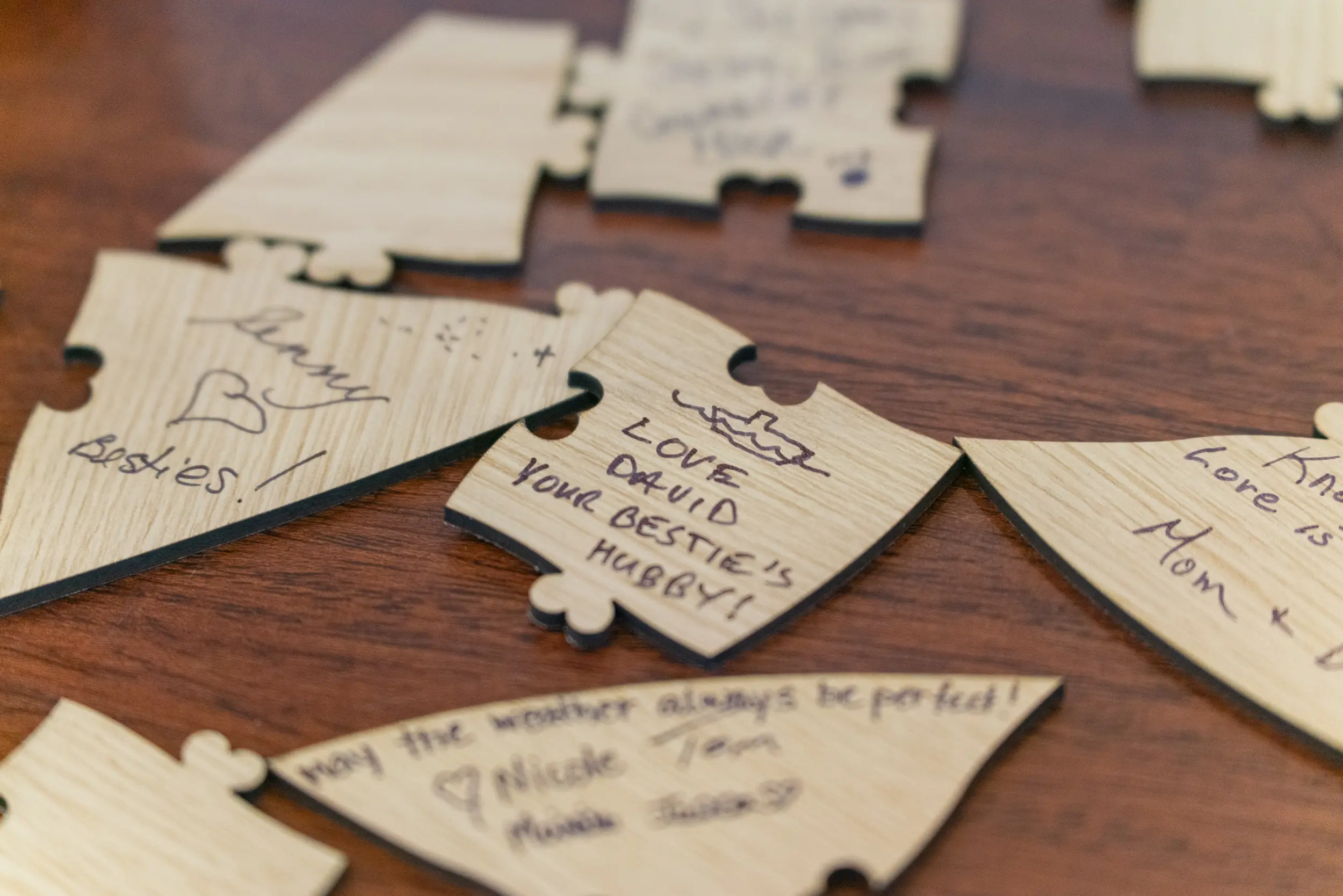 Martha and Tina Wedding - Madison, WI